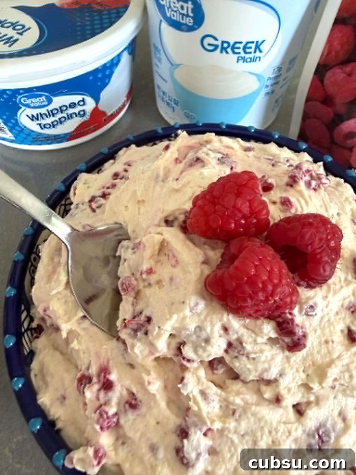 A bowl of Frozen Berry Salad with three whole raspberries on top in the middle and a spoon inserted diagonally from the left. Above the bowl are a whipped topping container and a plain Greek yogurt container.