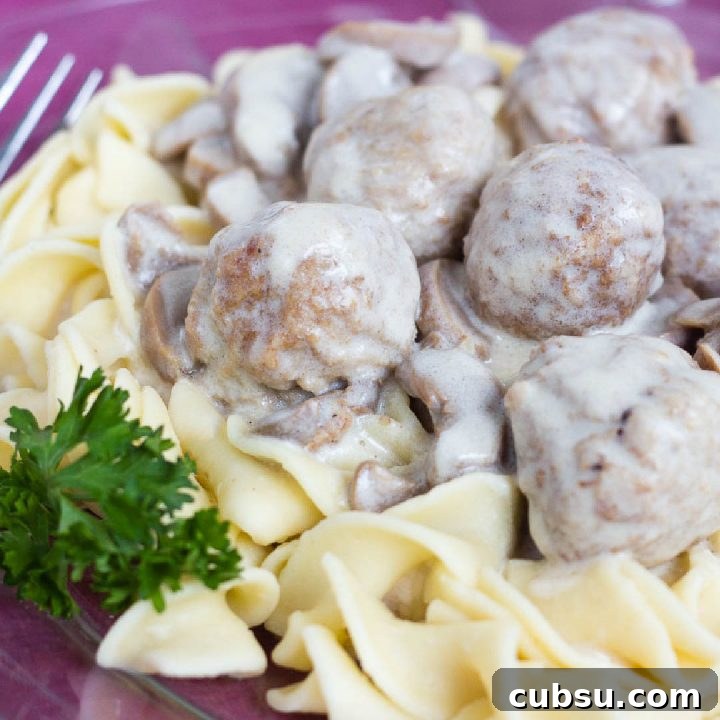 Egg noodles topped with meatballs and mushroom sauce.