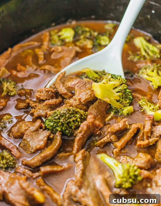 24 Slow Cooker Recipe Ideas for Your Next Meal Prep Sunday - So many slow cooker ideas to put into your next meal plan! - ProjectMealPlan.com