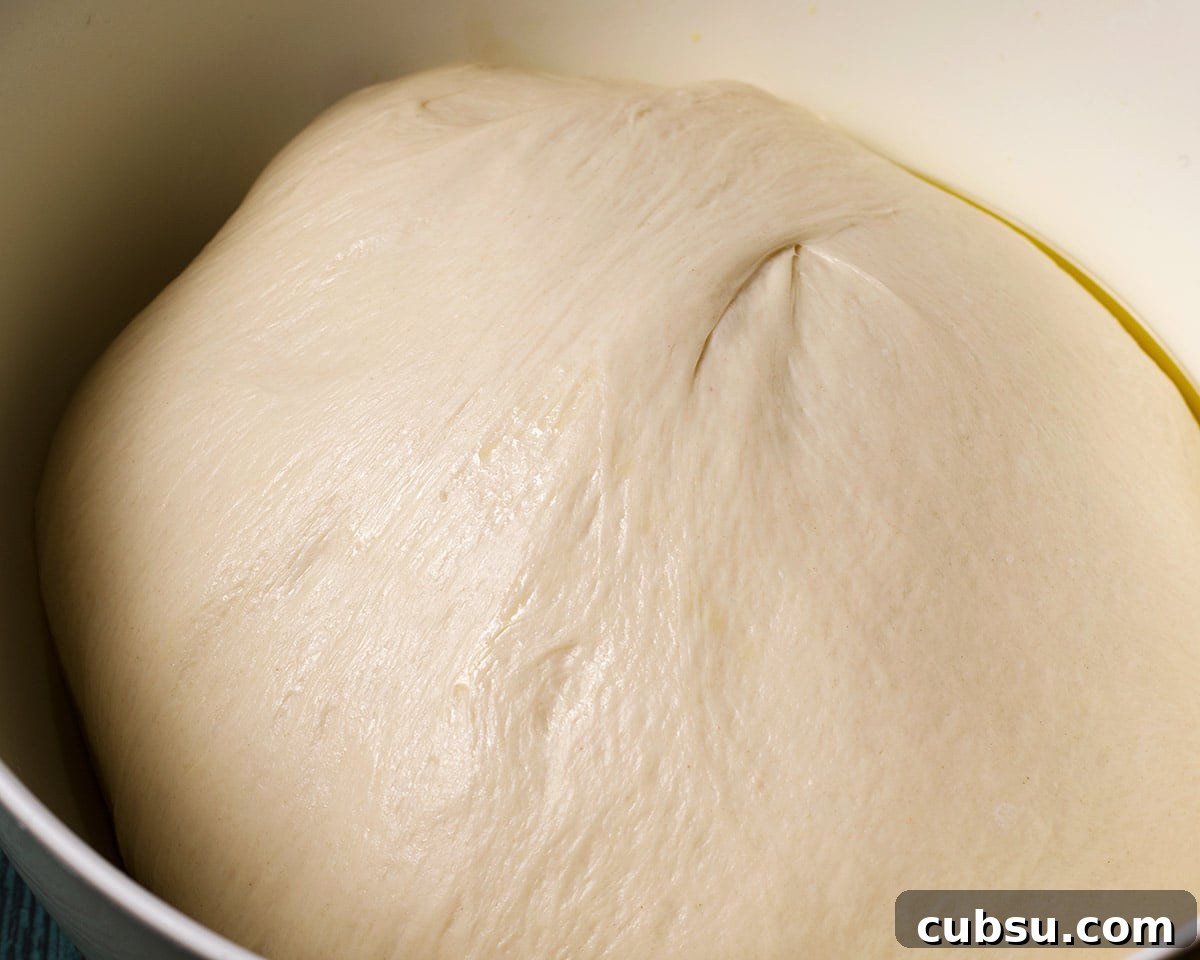 Pizza dough that has doubled in size and is ready to use.