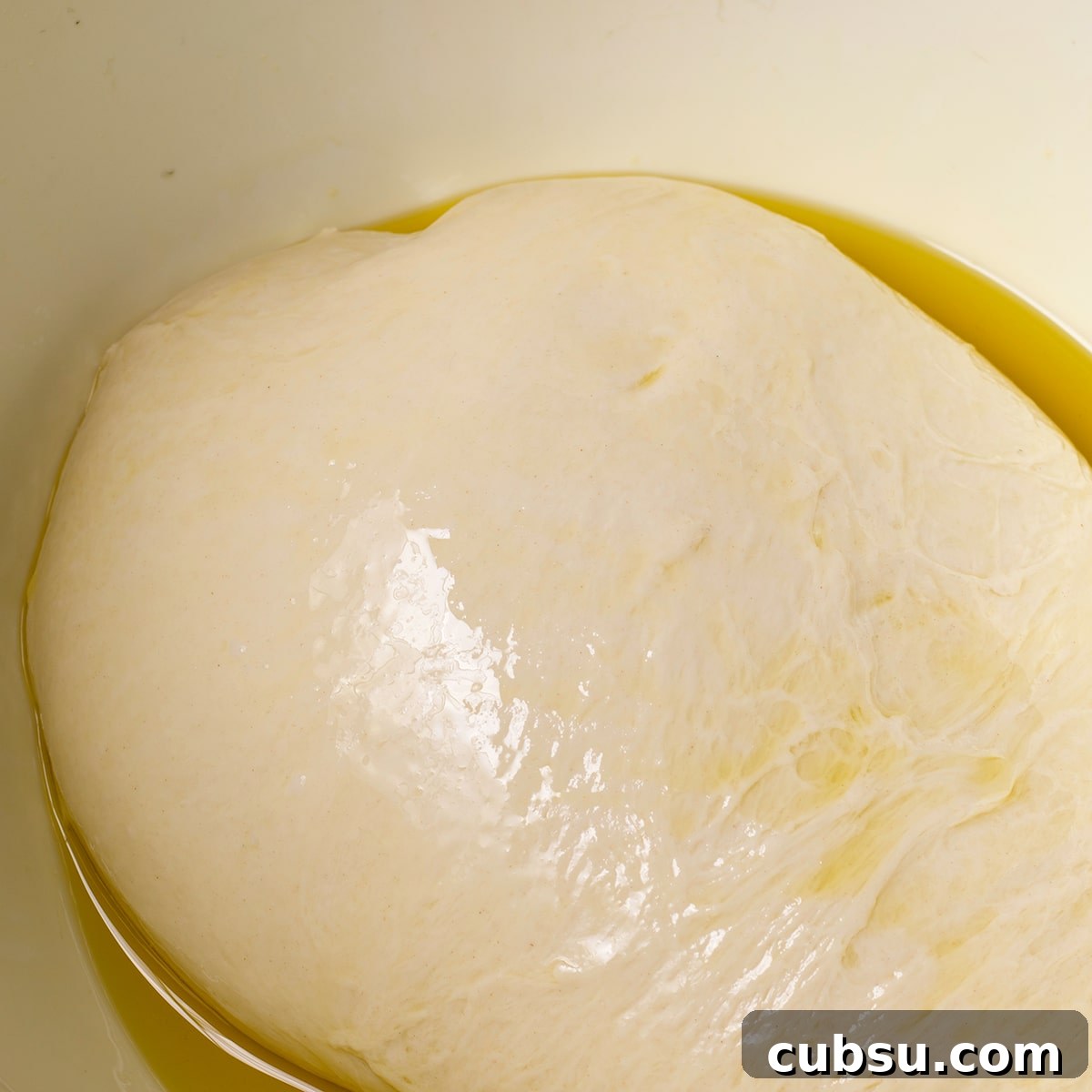 Pizza dough coated with olive oil inside a mixing bowl.