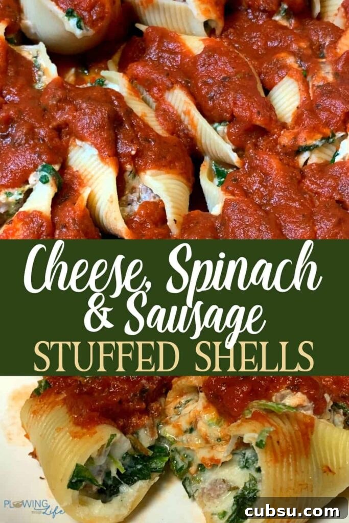 collage of spinach, cheese and sausage stuffed shells